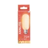 Hot XANLITE Ampoule filament LED T45 E27 1055lm 8,5W 2700k blanc chaud