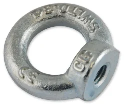 Best CHAPUIS Anneau de levage femelle C15-M12