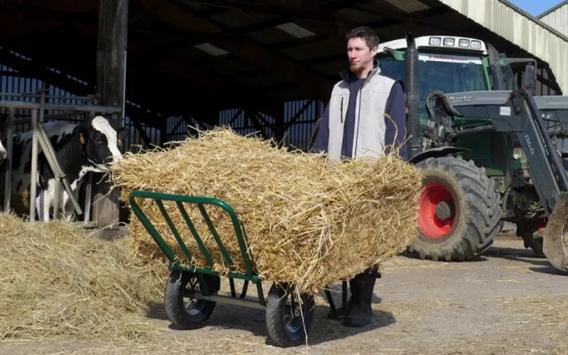 New HAEMMERLIN Brouette pro sélect Agricola twin roues gonflées