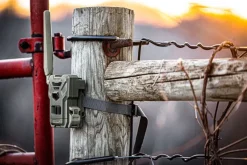 Discount Caméra de chasse FLEX-M SPY POINT