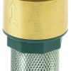 Online SPIDO Clapet crépine en laiton F26x34