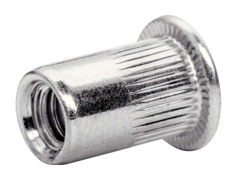 Outlet RAPID Écrous à sertir M6 pour plage serrage jusqu'à 3.0 mm (x20)