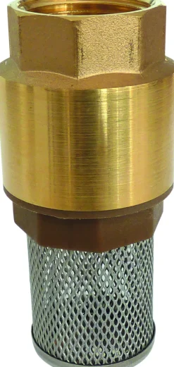 Discount Crépine laiton 1'' avec clapet