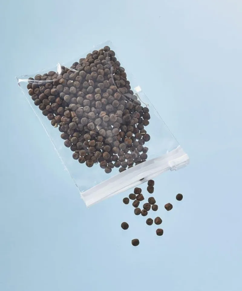 Discount MOTTEZ Lot de 10 sachets d'emballage avec curseur 15x10 cm