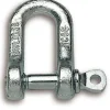 Discount CHAPUIS Manille droite piton à oeil axe 11mm