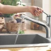 HANSGROHE Mitigeur de cuisine 150 EcoSmart douchette 2jets chrome