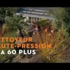 Discount STIHL Nettoyeur haute pression REA 60 PLUS (produit nu)