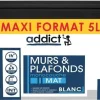 Clearance Peinture acrylique murs et plafonds monocouche blanc mat 5L
