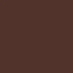 DULUX VALENTINE Peinture aérosol color touch brillant brun châtaigne 400ml