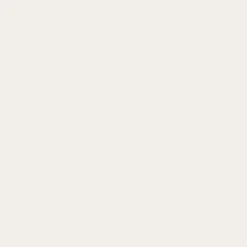 New DULUX VALENTINE Peinture aérosol color touch mat blanc 400ml