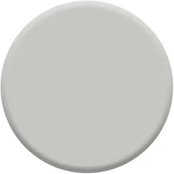 DULUX VALENTINE Peinture aérosol Color Touch Satin Gris Clair 400ml