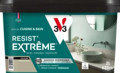 New V33 Peinture cuisine et bain Resist Extrême Vert de gris Vel 2L