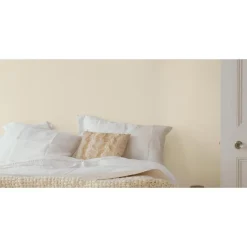 Outlet DULUX VALENTINE Peinture laque Valénite satin gris Alpaga 2 L