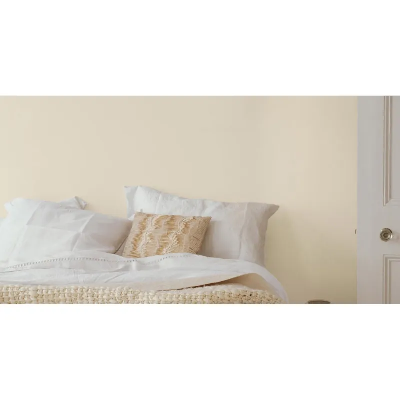 Outlet DULUX VALENTINE Peinture laque Valénite satin gris Alpaga 2 L