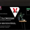 Outlet V33 Peinture multisupports Satin Colorissim noir 2,5L