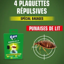 Hot Piège contre les punaises de lit (x4)