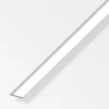 Online ALFER Plat 15x2 alu brillant 1m