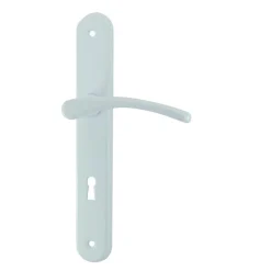 Online Poignée de porte sur plaque cluses alu laqué serrure 195mm