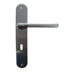Hot Poignée de porte sur plaque Floride zamak serrure 195mm
