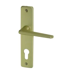 Online Poignée de porte sur plaque gets alu champ. cylindre 165mm