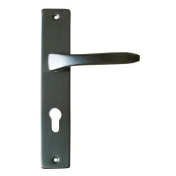 Discount Poignée de porte sur plaque Lunel Alu gris cylindre 195mm