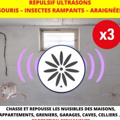 Best Répulsif à ultrasons souris et insectes rampants (x3)