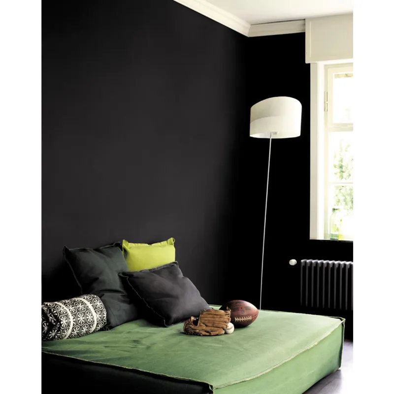 New DULUX VALENTINE Testeur de Peinture Crème de Couleur Noir 30 ml