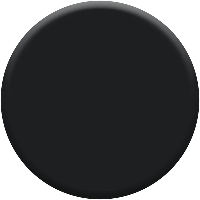 New DULUX VALENTINE Testeur de Peinture Crème de Couleur Noir 30 ml