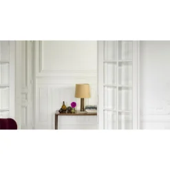 DULUX VALENTINE Testeur de Peinture Crème de Couleur Blanc 30 ml