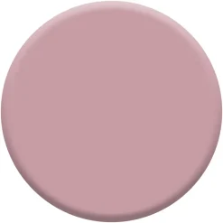 Outlet DULUX VALENTINE Testeur de Peinture Si Simple ! Rose Intense 30 ml
