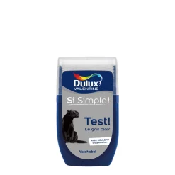 Hot DULUX VALENTINE Testeur de Peinture Si Simple ! Gris Foncé 30 ml