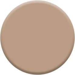 Outlet DULUX VALENTINE Testeur de Peinture Si Simple ! Le Camel 30 ml